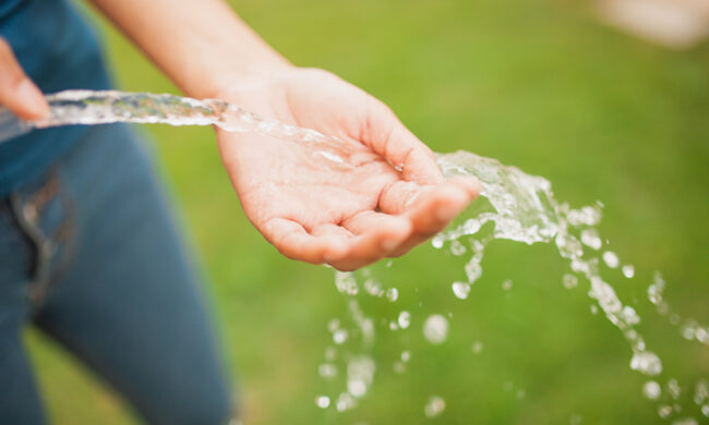 gartenfreunde-suedost-wig-informiert