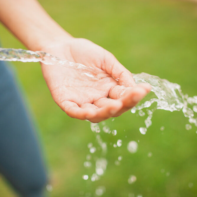 gartenfreunde-suedost-wig-informiert
