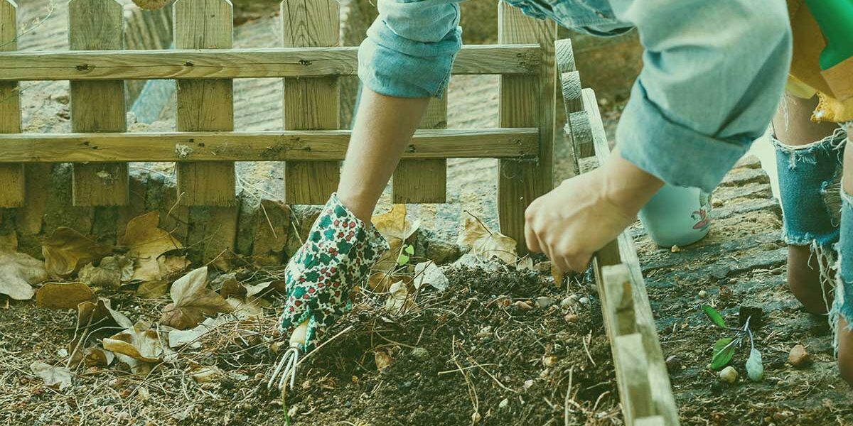 rindenmulsch-und-erde