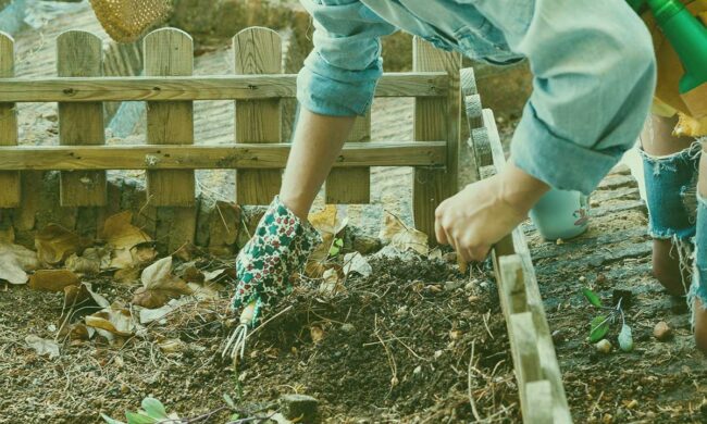 rindenmulsch-und-erde