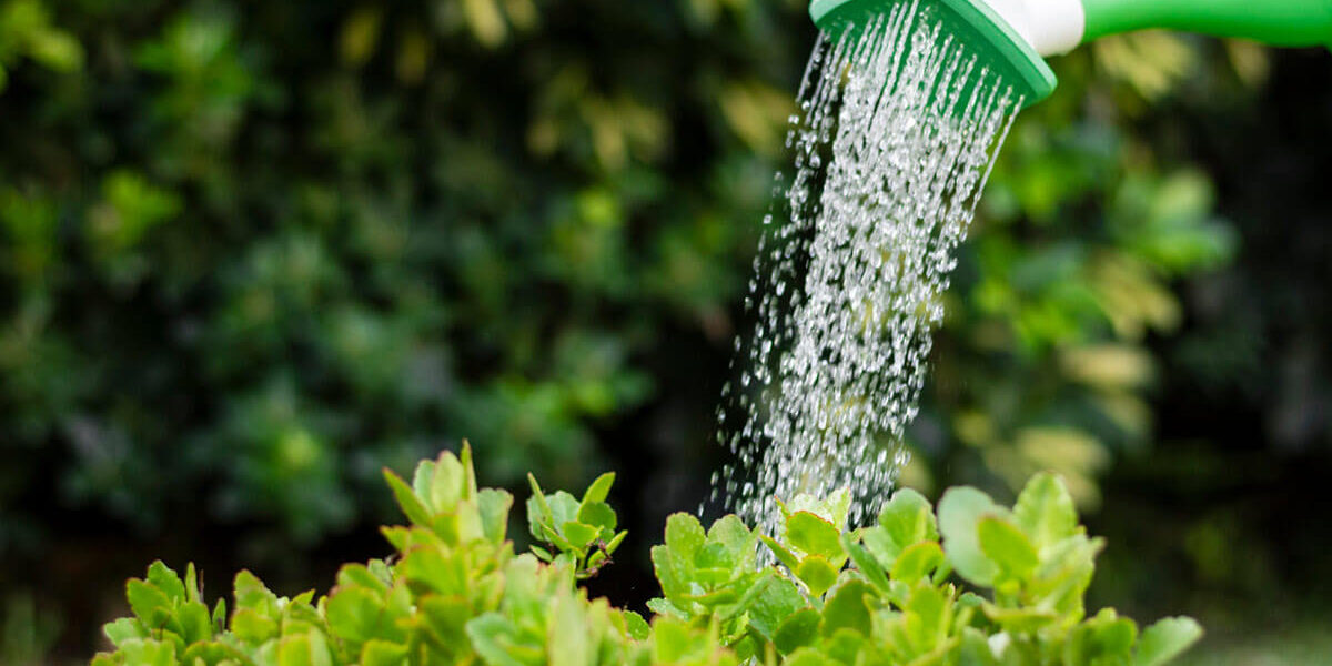 wasserversorgung-ab-12-04-2025