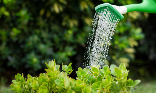 wasserversorgung-ab-12-04-2025