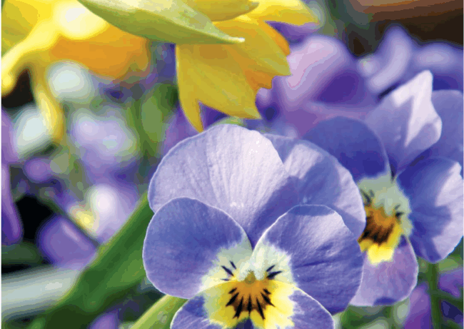 leipzier-gartenfreund-04